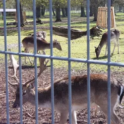 Nordhausen City Park (Stadtpark) - Nordhausen