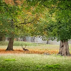 Nordhausen City Park (Stadtpark) - Nordhausen