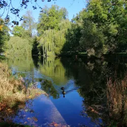 Nordhausen City Park (Stadtpark) - Nordhausen