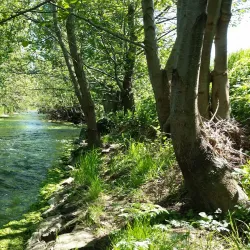 Wipper River Walk - Nordhausen
