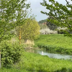 Wipper River Walk - Nordhausen
