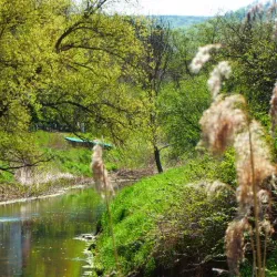 Wipper River Walk - Nordhausen