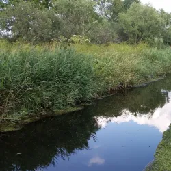 Wipper River Walk - Nordhausen