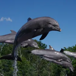 Nuremberg Zoo (Tiergarten Nürnberg) - Nuremberg