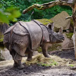Nuremberg Zoo (Tiergarten Nürnberg) - Nuremberg