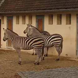 Nuremberg Zoo (Tiergarten Nürnberg) - Nuremberg
