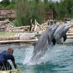 Nuremberg Zoo (Tiergarten Nürnberg) - Nuremberg