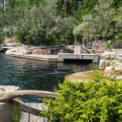 Nuremberg Zoo (Tiergarten Nürnberg) - Nuremberg