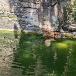 Nuremberg Zoo (Tiergarten Nürnberg) - Nuremberg