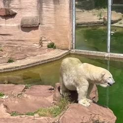 Nuremberg Zoo (Tiergarten Nürnberg) - Nuremberg