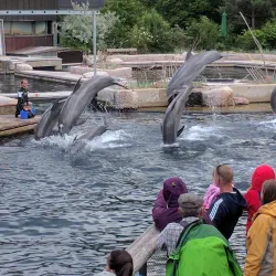 Nuremberg Zoo (Tiergarten Nürnberg) - Nuremberg
