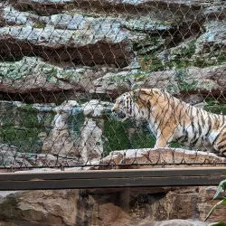 Nuremberg Zoo (Tiergarten Nürnberg) - Nuremberg