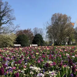 Botanical Garden Oelde - Oelde