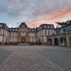 Büsing Palace (Büsingpalais) - Offenbach am Main