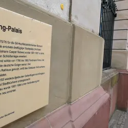 Büsing Palace (Büsingpalais) - Offenbach am Main