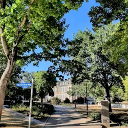 Büsing Palace (Büsingpalais) - Offenbach am Main