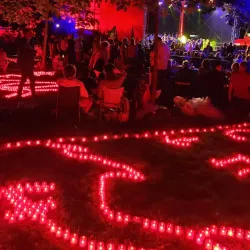 Büsing Palace (Büsingpalais) - Offenbach am Main