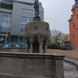 Isenburger Schloss - Offenbach am Main