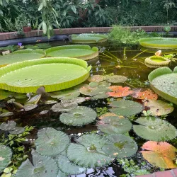 Botanischer Garten Oldenburg - Oldenburg