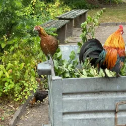 Botanischer Garten Oldenburg - Oldenburg