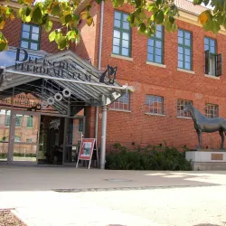 Deutsches Pferdemuseum (German Horse Museum) - Oldenburg