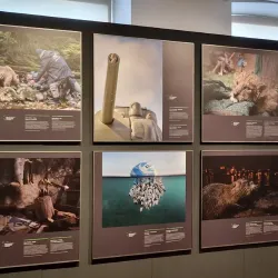 Deutsches Pferdemuseum (German Horse Museum) - Oldenburg