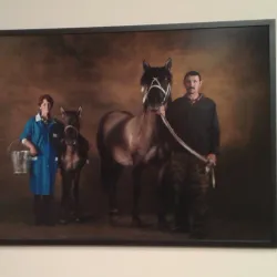 Deutsches Pferdemuseum (German Horse Museum) - Oldenburg