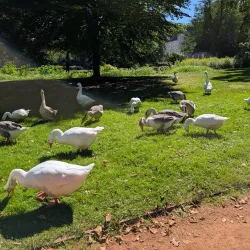 Schlossgarten Oldenburg - Oldenburg