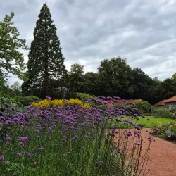 Schlossgarten Oldenburg - Oldenburg