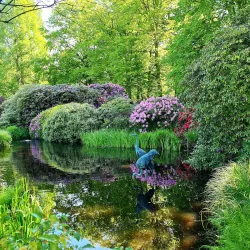 Schlossgarten Oldenburg - Oldenburg