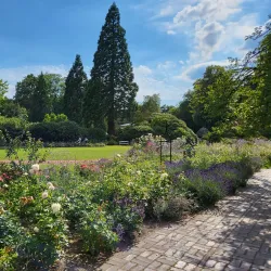 Schlossgarten Oldenburg - Oldenburg
