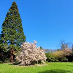 Schlossgarten Oldenburg - Oldenburg