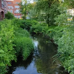 A stunning outdoor scene in Osterholz-Scharmbeck