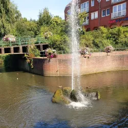 Local Market Square - Osterholz-Scharmbeck