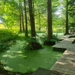 Botanischer Garten der Universität Paderborn - Paderborn