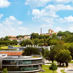Bavarian Brewery Experience - Pfaffenhofen an der Ilm