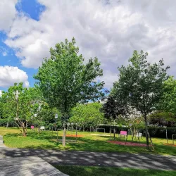 City Park Pfaffenhofen - Pfaffenhofen an der Ilm