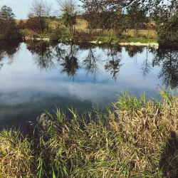 Ilm River Promenade - Pfaffenhofen an der Ilm