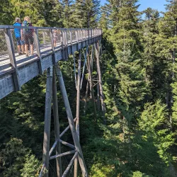 Black Forest Trailhead - Pforzheim