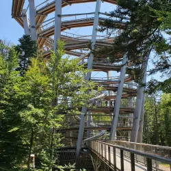 Black Forest Trailhead - Pforzheim