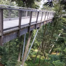 Black Forest Trailhead - Pforzheim