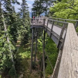 Black Forest Trailhead - Pforzheim