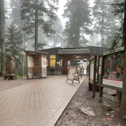 Black Forest Trailhead - Pforzheim