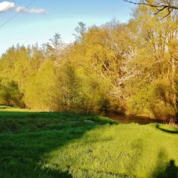 Enz River Promenade - Pforzheim