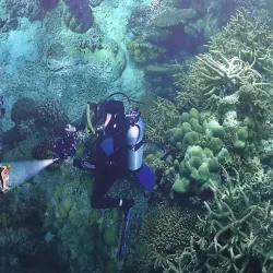 Gasometer Pforzheim - Pforzheim