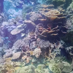 Gasometer Pforzheim - Pforzheim