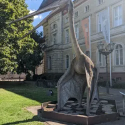 Museum of Natural History Pforzheim (Naturkundemuseum) - Pforzheim