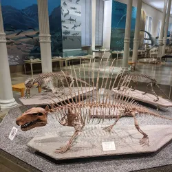 Museum of Natural History Pforzheim (Naturkundemuseum) - Pforzheim