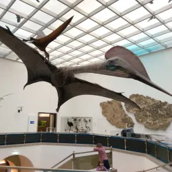 Museum of Natural History Pforzheim (Naturkundemuseum) - Pforzheim