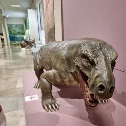 Museum of Natural History Pforzheim (Naturkundemuseum) - Pforzheim